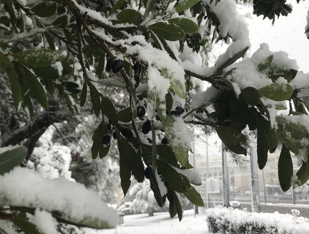 nevada en Atenas