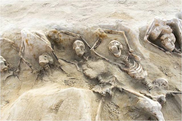 esqueletos griegos
