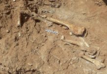 fósiles en Lesbos